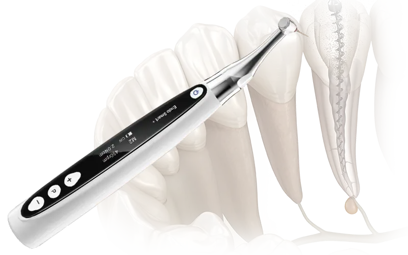 根管治療用モーター